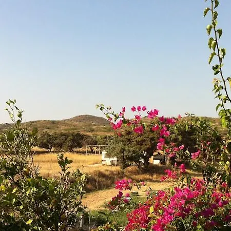 Porto Milos-3